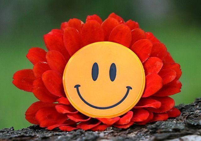 Feliz Y libre
